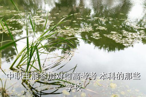 中職生能參加對(duì)口高考考 本科的那些 學(xué)校