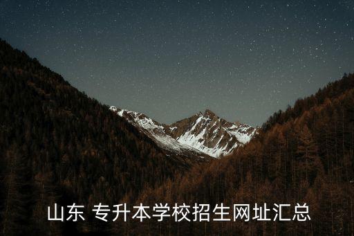  山東 專升本學校招生網(wǎng)址匯總