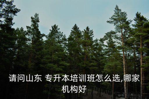 請問山東 專升本培訓(xùn)班怎么選,哪家機構(gòu)好