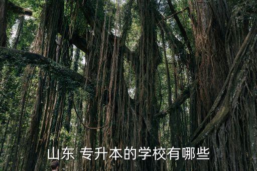 山東 專升本的學校有哪些