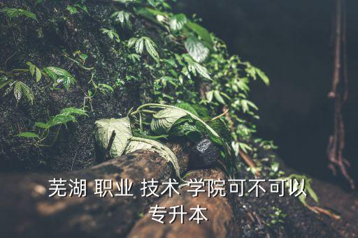  蕪湖 職業(yè) 技術 學院可不可以 專升本