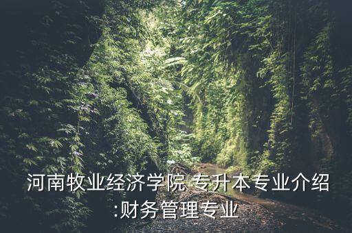 河南會(huì)計(jì)專升本管理學(xué)書,河南省會(huì)計(jì)專升本考試科目