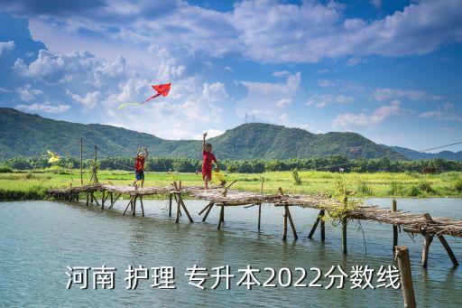  河南 護理 專升本2022分數(shù)線