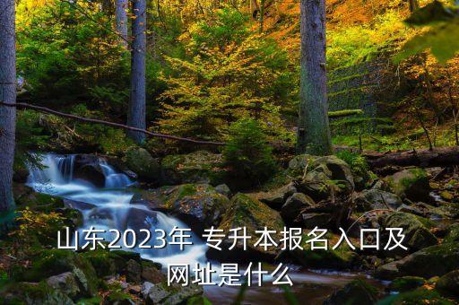 山東專升本考試流程,2023年山東專升本考試流程