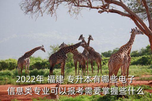 2022年 福建 專升本有哪些電子信息類專業(yè)可以報(bào)考需要掌握些什么