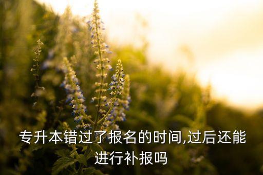 誤了報專升本名還有其它辦法嗎