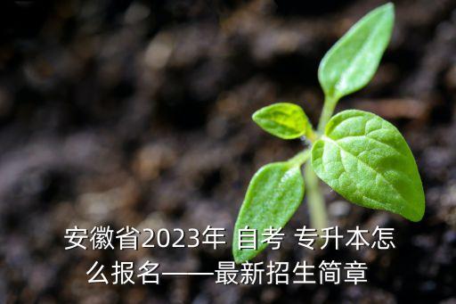  安徽省2023年 自考 專升本怎么報(bào)名——最新招生簡章