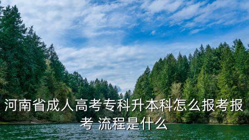 河南省成人高考?？粕究圃趺磮罂紙罂?流程是什么