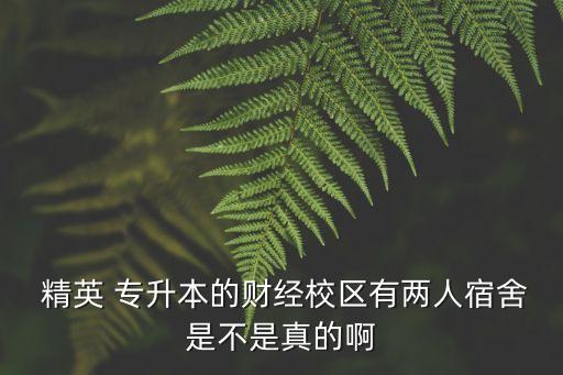  精英 專(zhuān)升本的財(cái)經(jīng)校區(qū)有兩人宿舍是不是真的啊