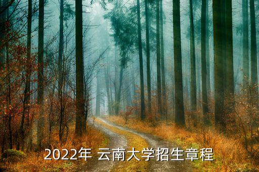 2022年 云南大學(xué)招生章程