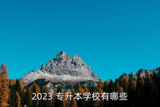 2023 專升本學(xué)校有哪些