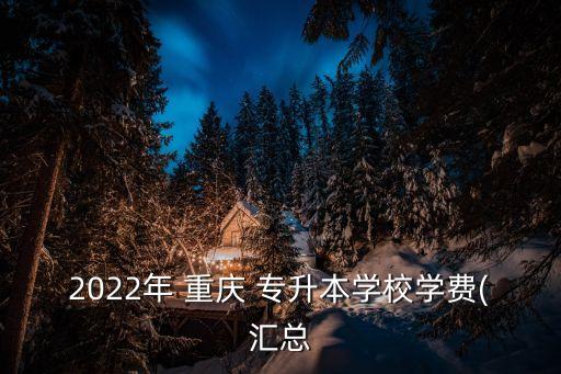 2022年 重慶 專升本學(xué)校學(xué)費(fèi)(匯總