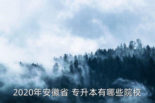 2020年安徽省 專升本有哪些院校