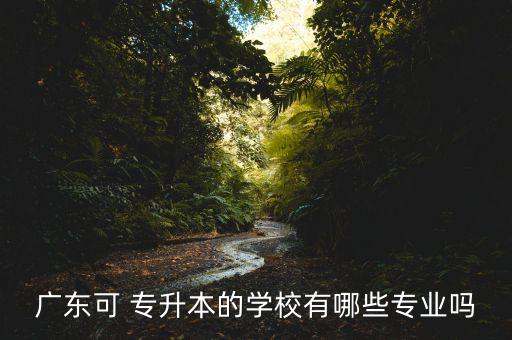 廣東可 專升本的學(xué)校有哪些專業(yè)嗎