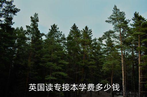 英國(guó)的專升本,英國(guó)專升本大學(xué)有哪些