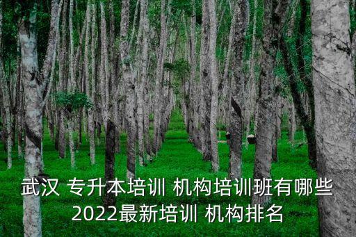 武漢 專升本培訓(xùn) 機(jī)構(gòu)培訓(xùn)班有哪些2022最新培訓(xùn) 機(jī)構(gòu)排名