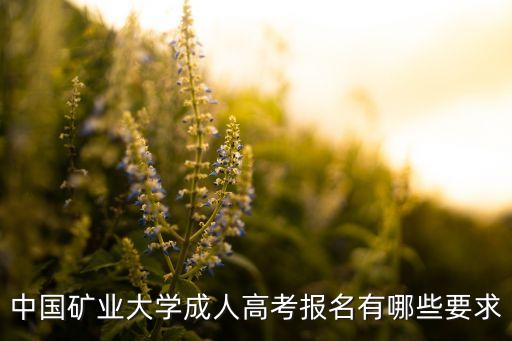 中國礦業(yè)大學成人高考報名有哪些要求