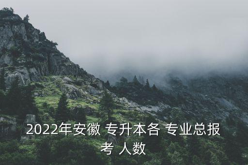 2022年安徽 專升本各 專業(yè)總報(bào)考 人數(shù)