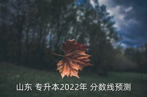 山東 專升本2022年 分?jǐn)?shù)線預(yù)測(cè)