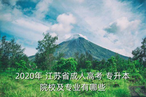 2020年 江蘇省成人高考 專升本院校及專業(yè)有哪些