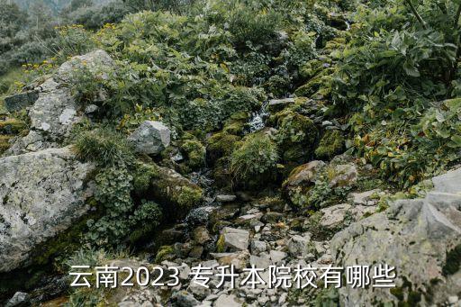  云南2023 專升本院校有哪些