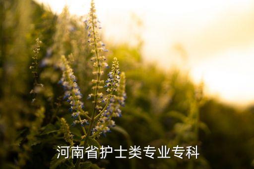  河南省護(hù)士類專業(yè)?？? class=