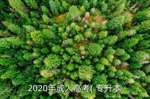 2020年成人高考( 專升本