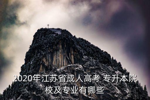 2020年江蘇省成人高考 專升本院校及專業(yè)有哪些