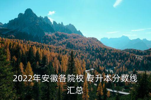 2022年安徽各院校 專升本分?jǐn)?shù)線匯總