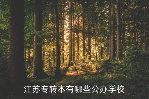 江蘇專轉(zhuǎn)本有哪些公辦學(xué)校