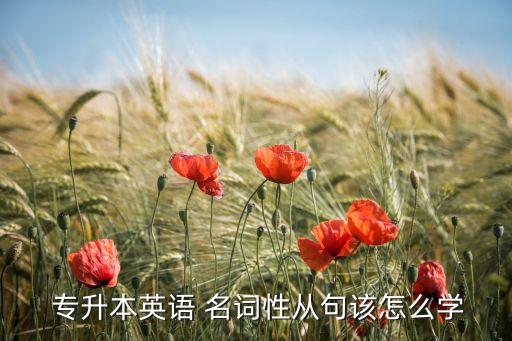  專升本英語(yǔ) 名詞性從句該怎么學(xué)