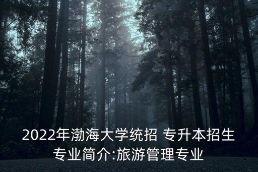 2022年渤海大學統(tǒng)招 專升本招生專業(yè)簡介:旅游管理專業(yè)