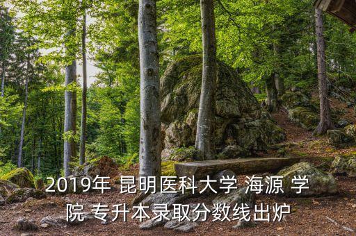 2019年 昆明醫(yī)科大學 海源 學院 專升本錄取分數(shù)線出爐