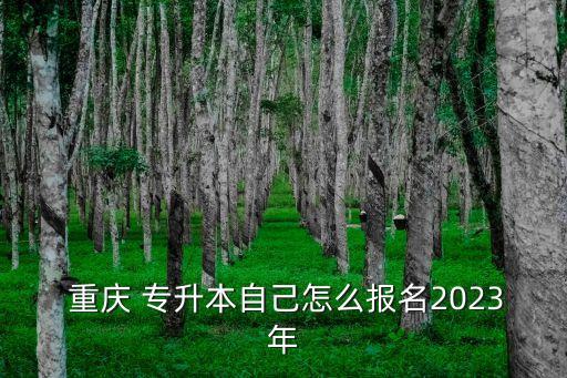  重慶 專升本自己怎么報名2023年