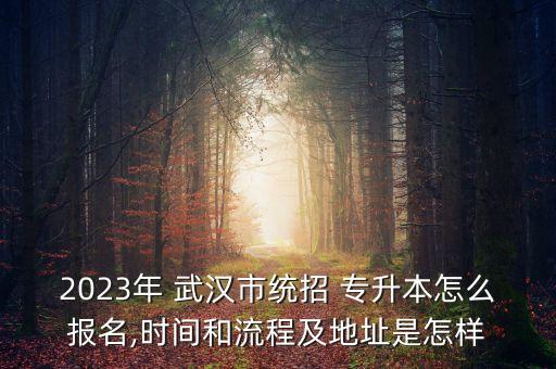 2023年 武漢市統(tǒng)招 專升本怎么報名,時間和流程及地址是怎樣