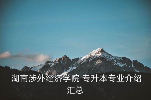  湖南涉外經(jīng)濟(jì)學(xué)院 專升本專業(yè)介紹匯總