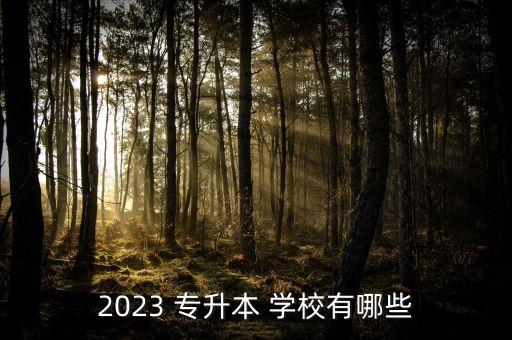 2023 專升本 學校有哪些