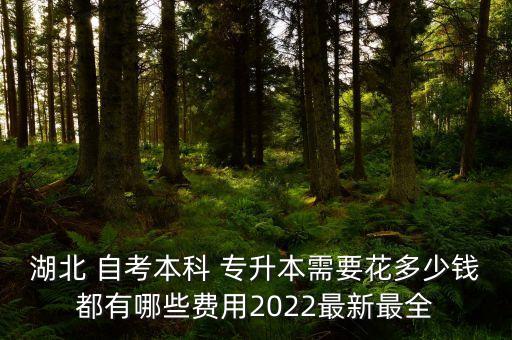 湖北 自考本科 專升本需要花多少錢都有哪些費(fèi)用2022最新最全