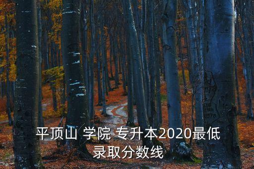  平頂山 學院 專升本2020最低 錄取分數(shù)線