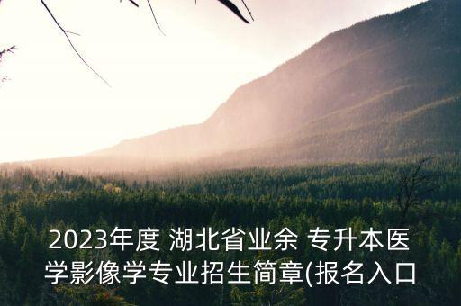 2023年度 湖北省業(yè)余 專升本醫(yī)學(xué)影像學(xué)專業(yè)招生簡章(報(bào)名入口