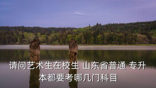 請問藝術生在校生 山東省普通 專升本都要考哪幾門科目