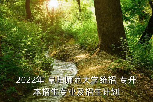 2022年 阜陽師范大學(xué)統(tǒng)招 專升本招生專業(yè)及招生計(jì)劃