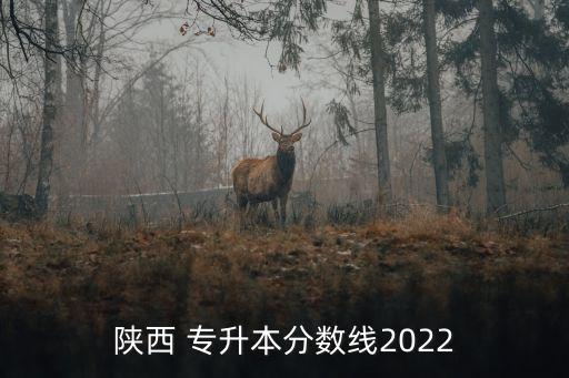 陜西 專升本分數(shù)線2022