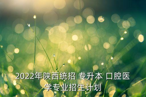 2022年陜西統(tǒng)招 專升本 口腔醫(yī)學(xué)專業(yè)招生計劃