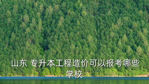 山東專升本院校公立,2023年山東專升本院校及專業(yè)