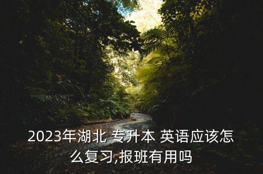 2023年湖北 專升本 英語應(yīng)該怎么復(fù)習(xí),報(bào)班有用嗎