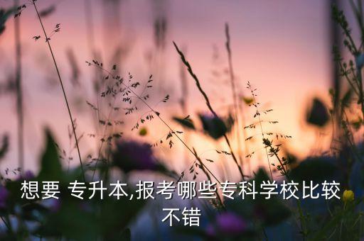 想要 專升本,報(bào)考哪些?？茖W(xué)校比較不錯(cuò)