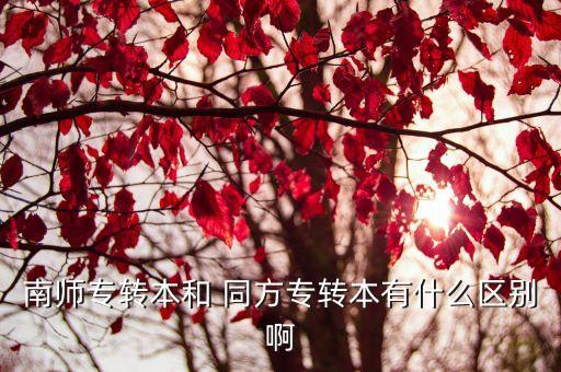 南師專轉(zhuǎn)本和 同方專轉(zhuǎn)本有什么區(qū)別啊