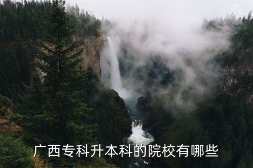 廣西專科升本科的院校有哪些