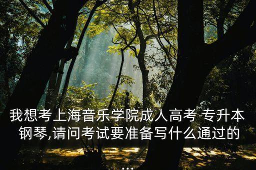 我想考上海音樂學(xué)院成人高考 專升本 鋼琴,請問考試要準(zhǔn)備寫什么通過的...